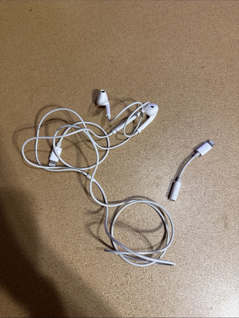 IPhone Lightening earbuds + Adapter